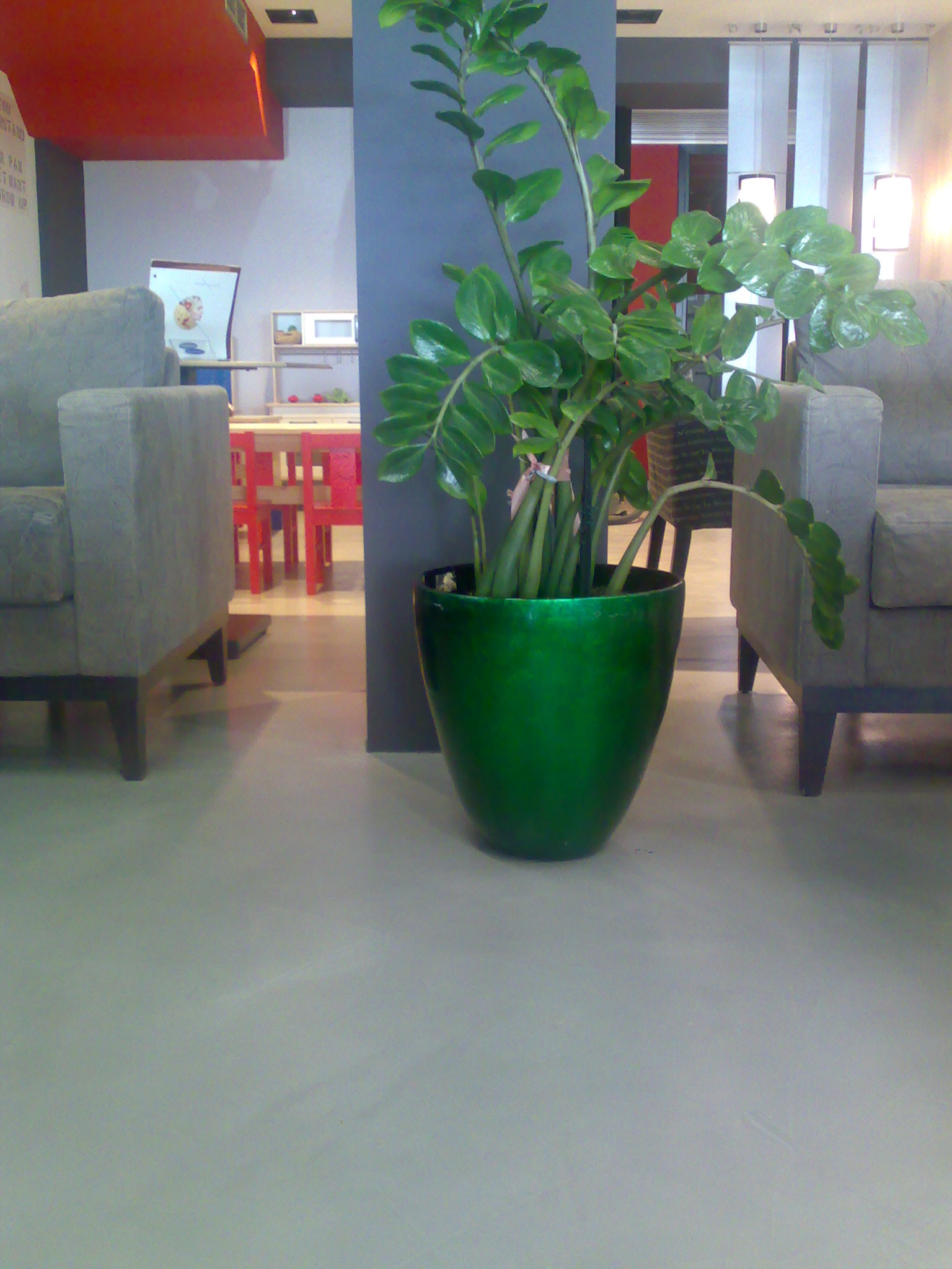 Concrete Basic Satin