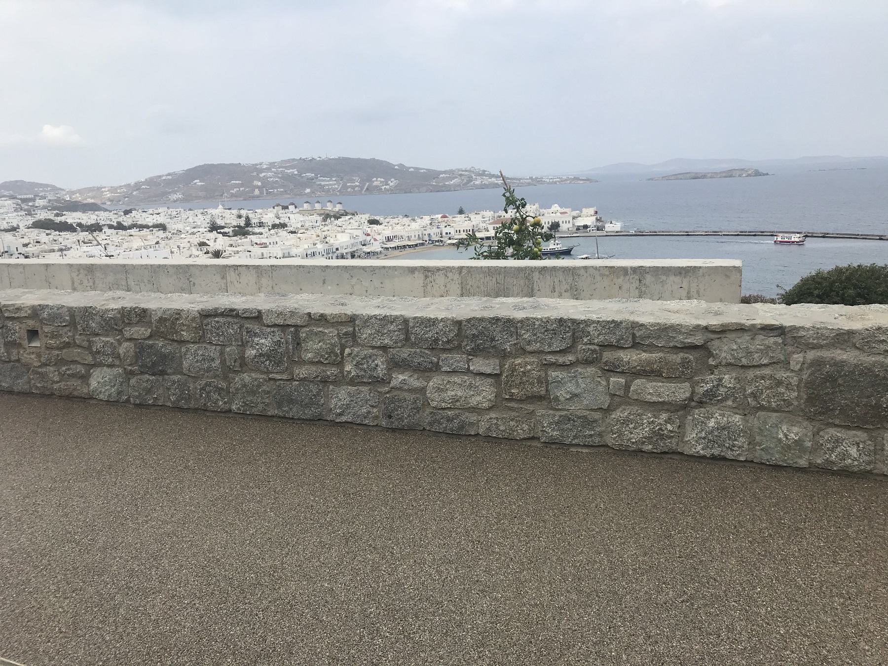 Stone Carpet ochiallino